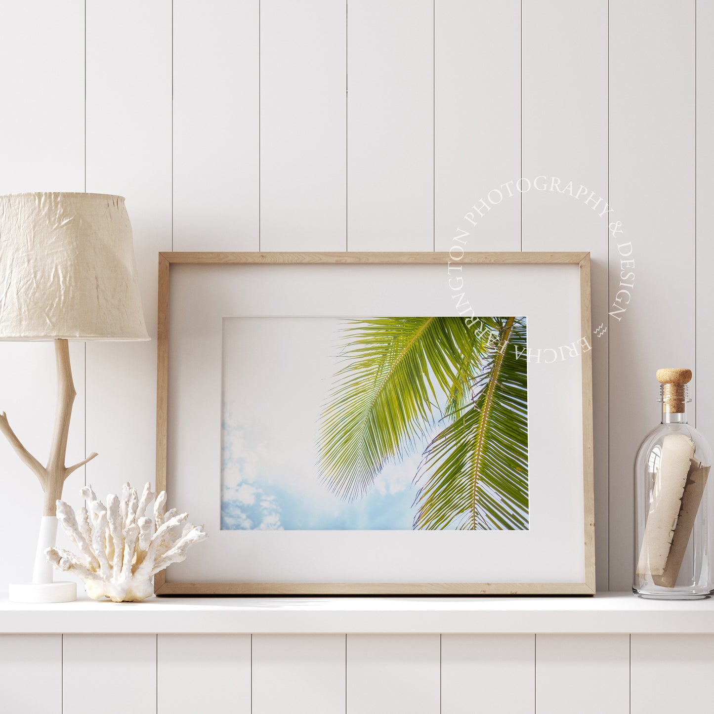 Palm Tree