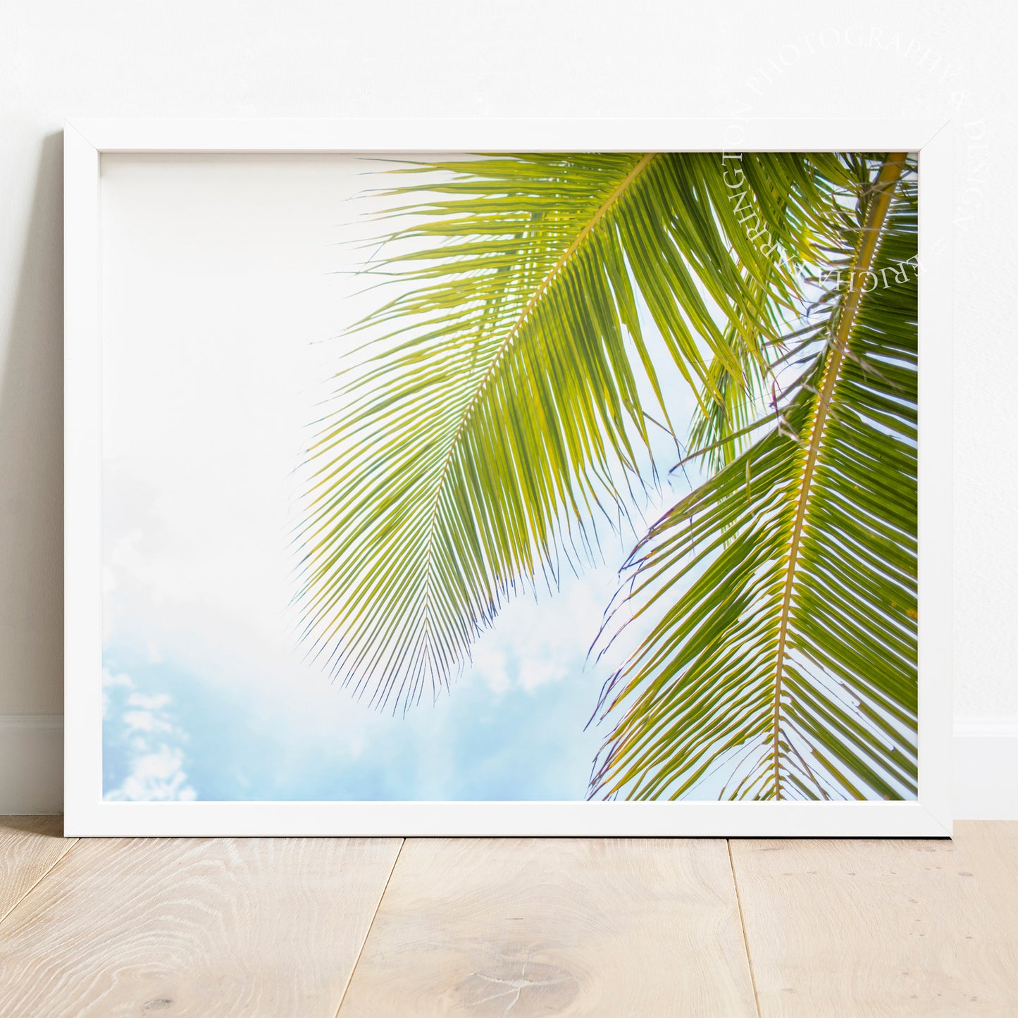 Palm Tree