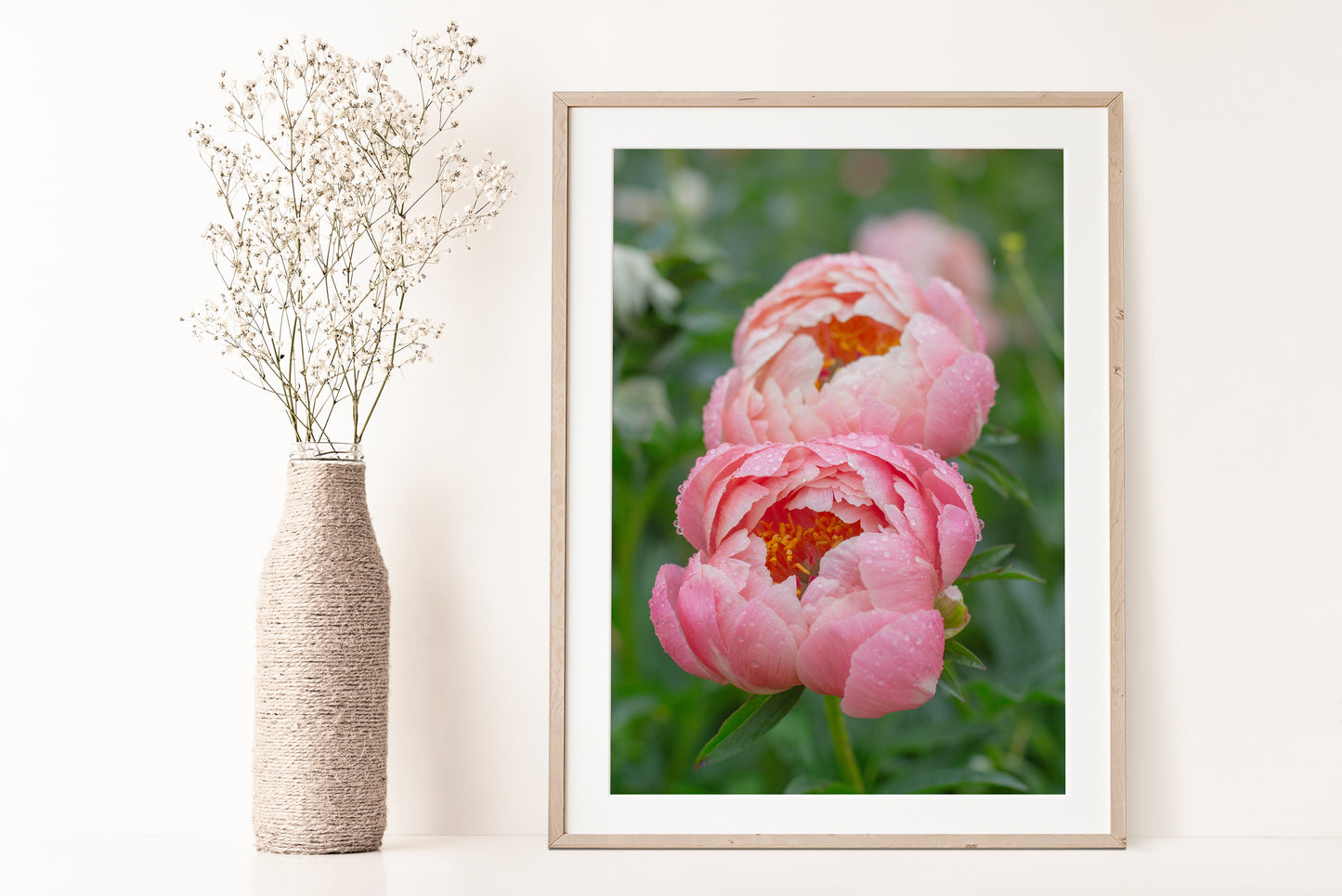 Pink Peonies