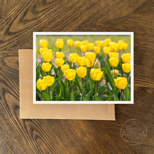 Yellow Tulips Blank Greeting Card